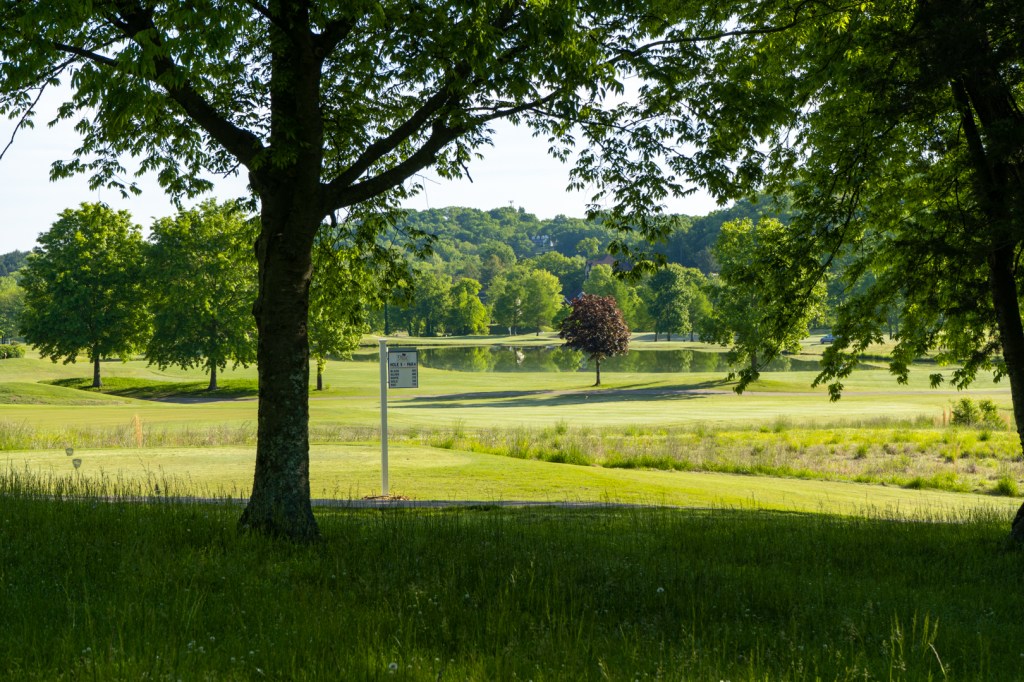 Shaded tree view of golf course