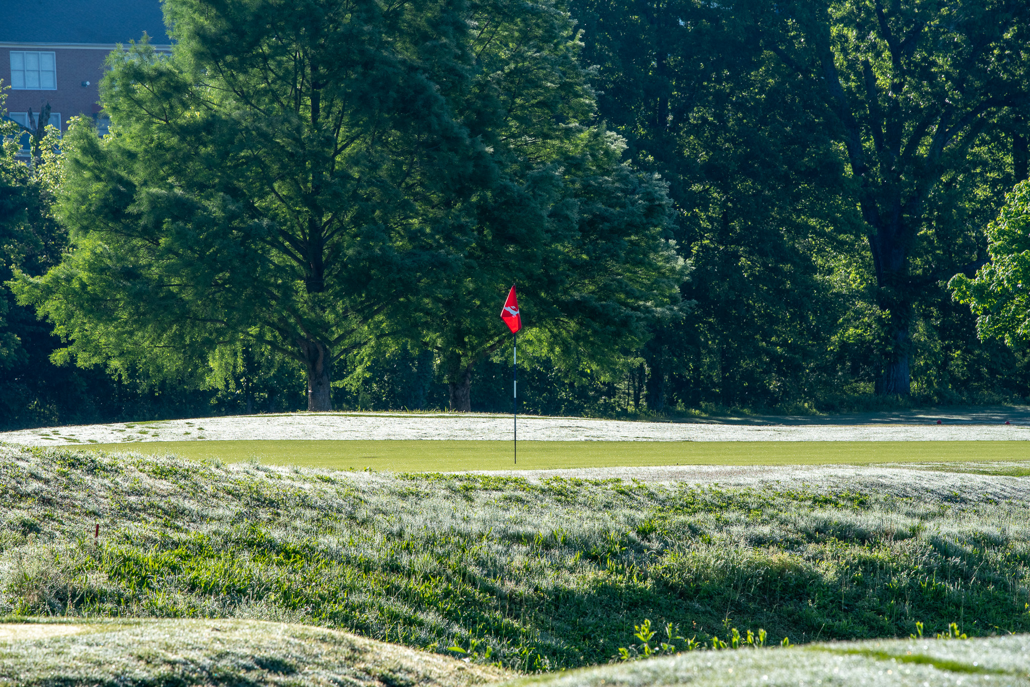 Course Info Twelve Stones Crossing Golf Club